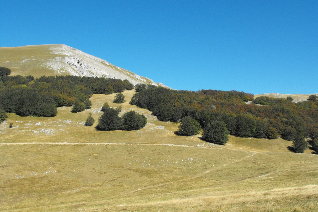 Les Chalets Nature Vercors - Col de Chironne